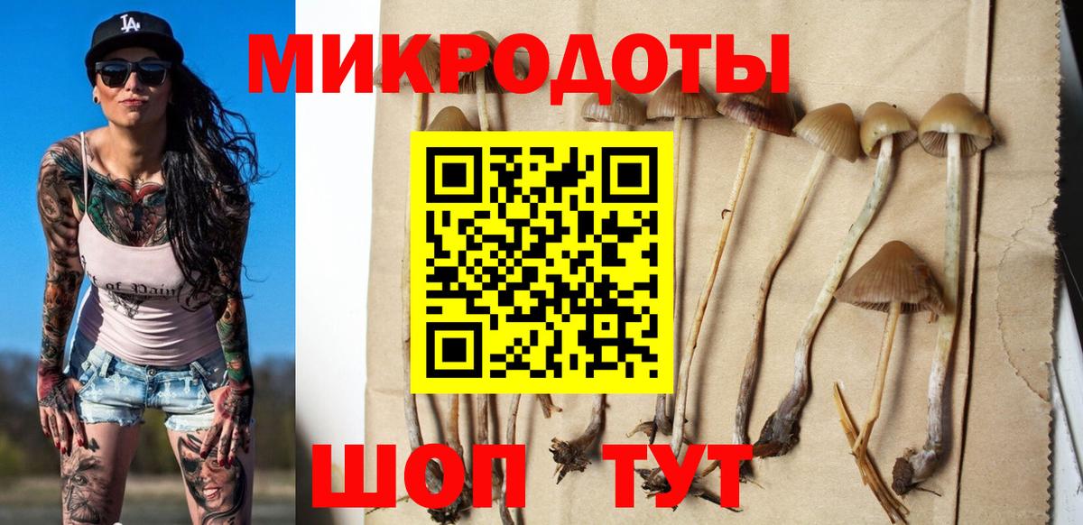 Псилоцибиновые грибы MAGIC MUSHROOMS Медногорск